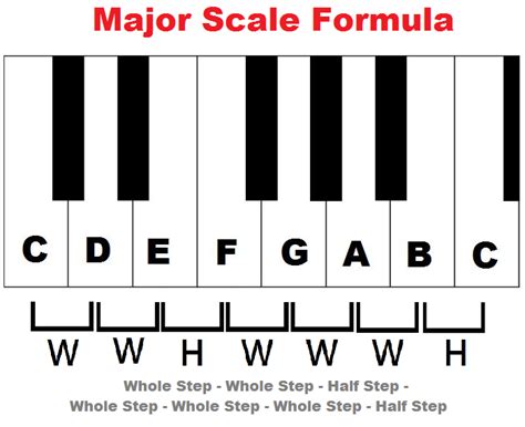 what is a scale degree in music and how does it relate to the structure of a musical piece?